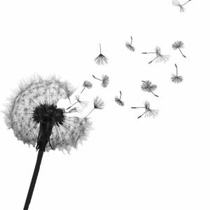 Meet your Posher, Tricia